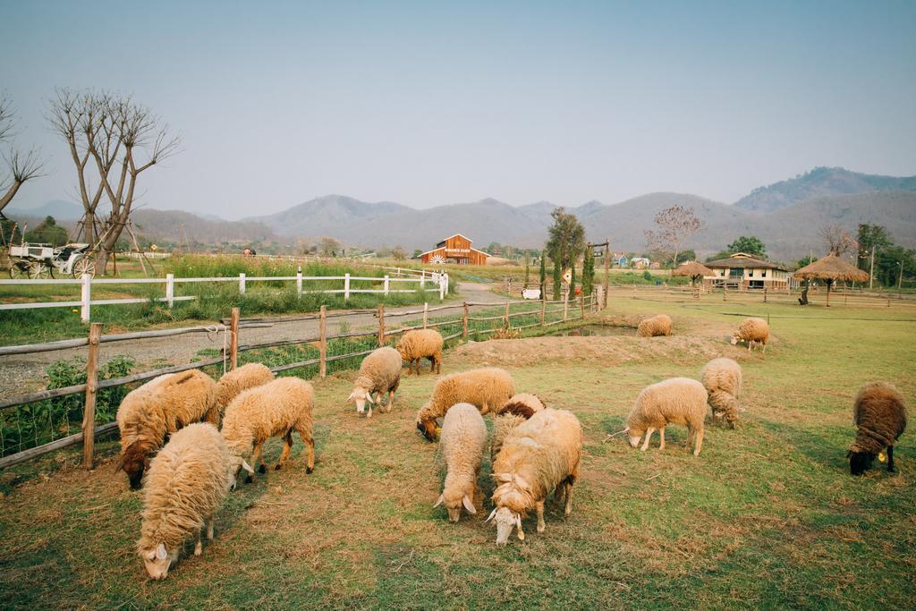 Romance - Another Story In Pai Exterior foto